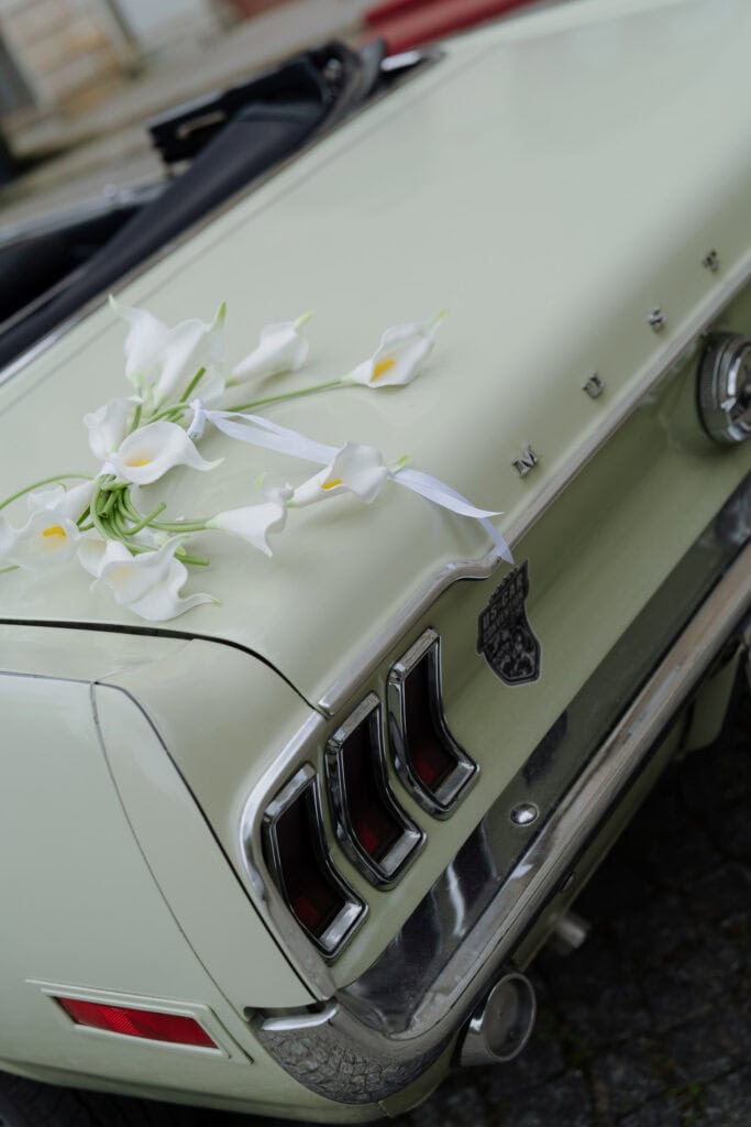 wedding at albrechtsberg palace dresden 15h55m 7rv09568 web